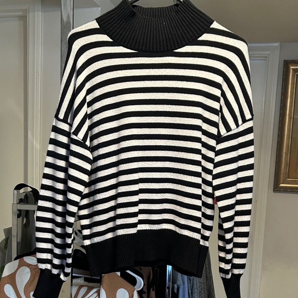 Striped Black & White Turtleneck Sweater - Women